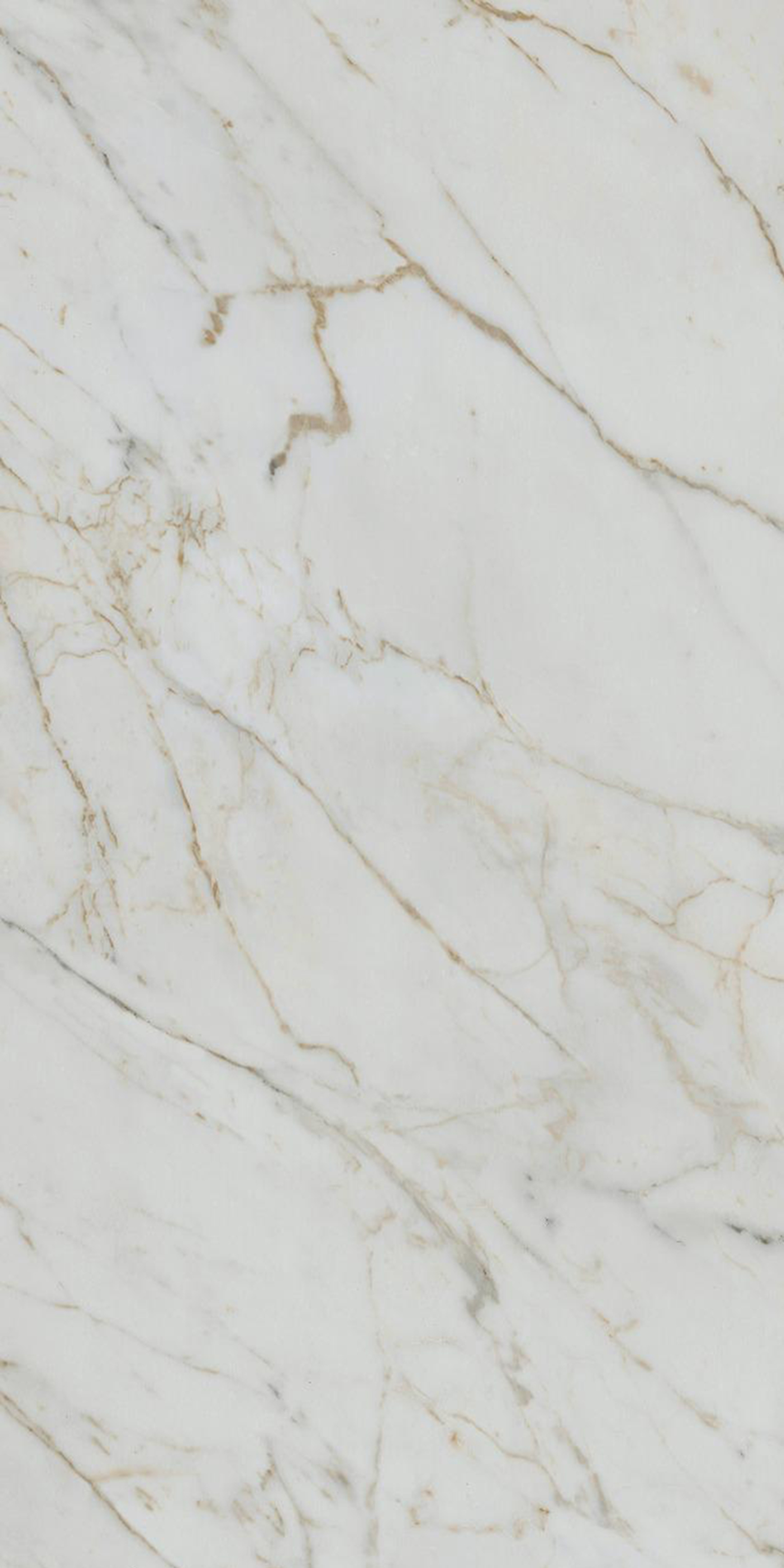 QSW-494 Natural Carrara